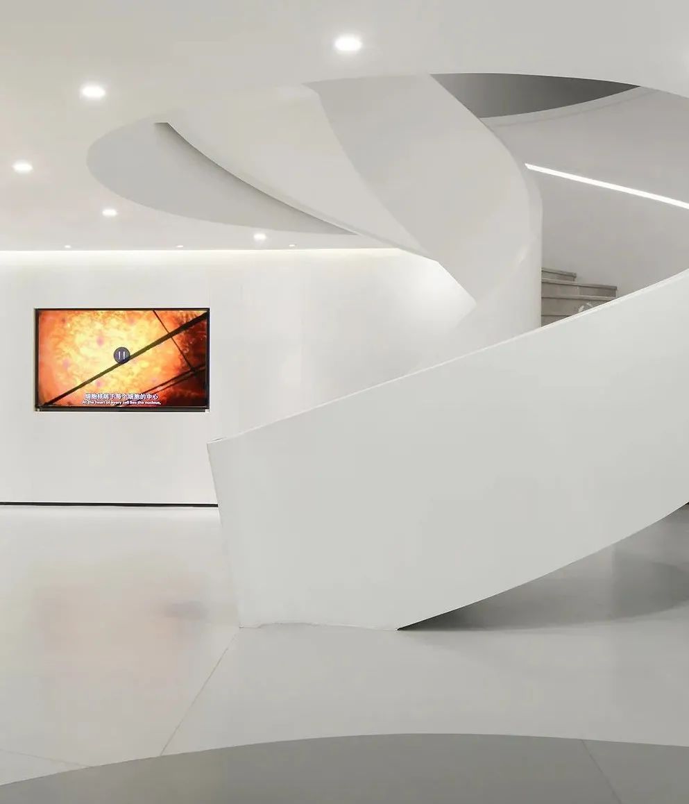 万玛生物办公空间 | 水蕴万物,生态自然-33