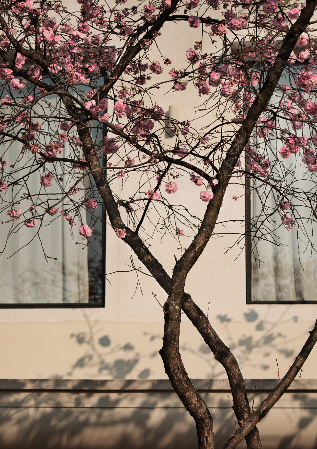 相上丨Ladésee工作室：向外生长，在公共与非公共之间-34