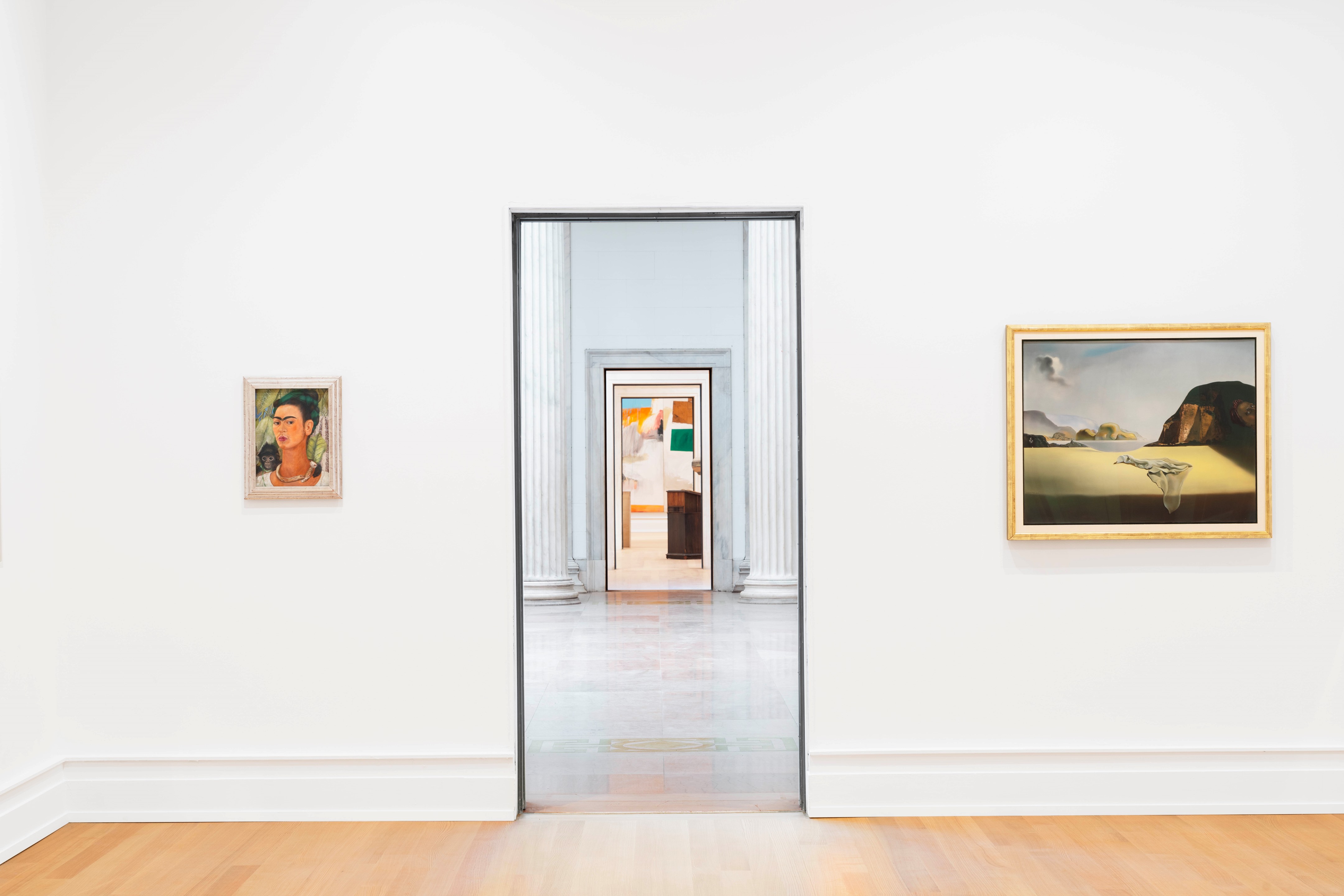 布法罗 AKG 艺术博物馆丨美国布法罗丨OMA-56