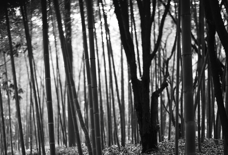 沈阳阜新高端酒店，国画美学融入室内设计-5