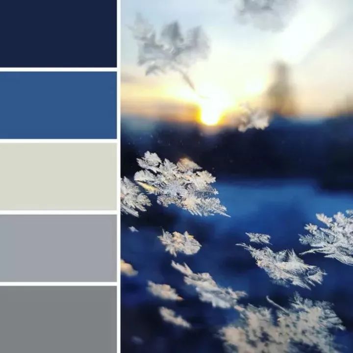 2020 年度代表色“经典蓝”家装设计案例解析-12