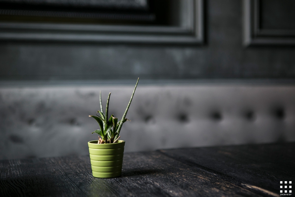 GREEN CUISINE素食餐厅-20