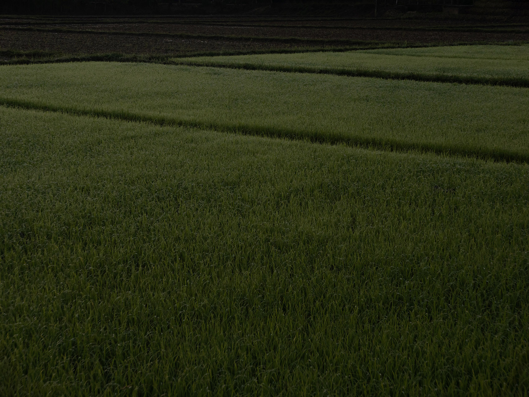 Moonler 家具展馆丨泰国丨Sher Maker-55