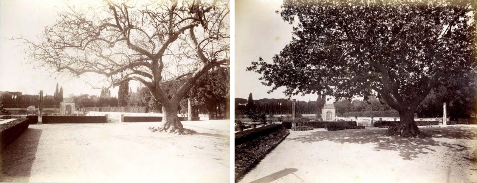 Villa Ludovisi Estate, Rome-5