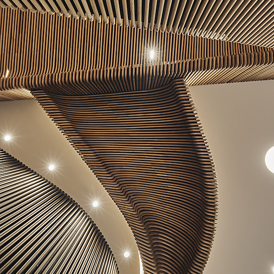 Sculptform by Woods Bagot | Australian Interior Design Awards-3
