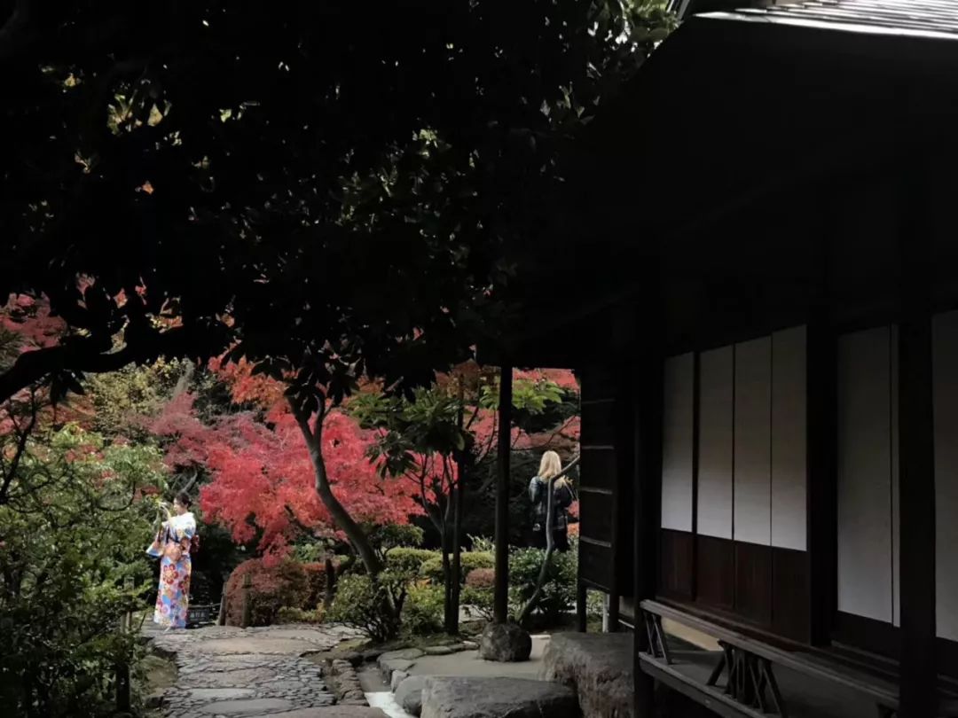 东京十座庭园式美术馆，艺术与自然的完美融合-21