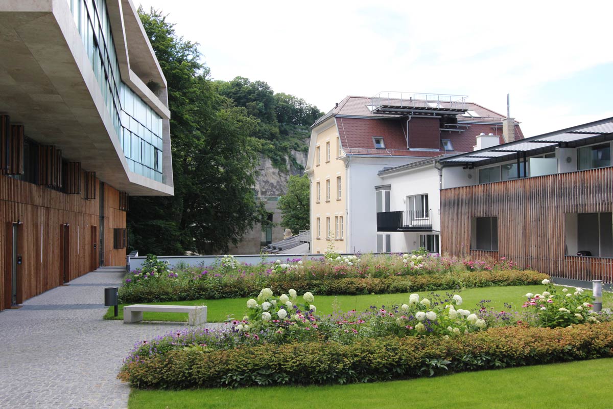 岩石中的城市绿洲-22