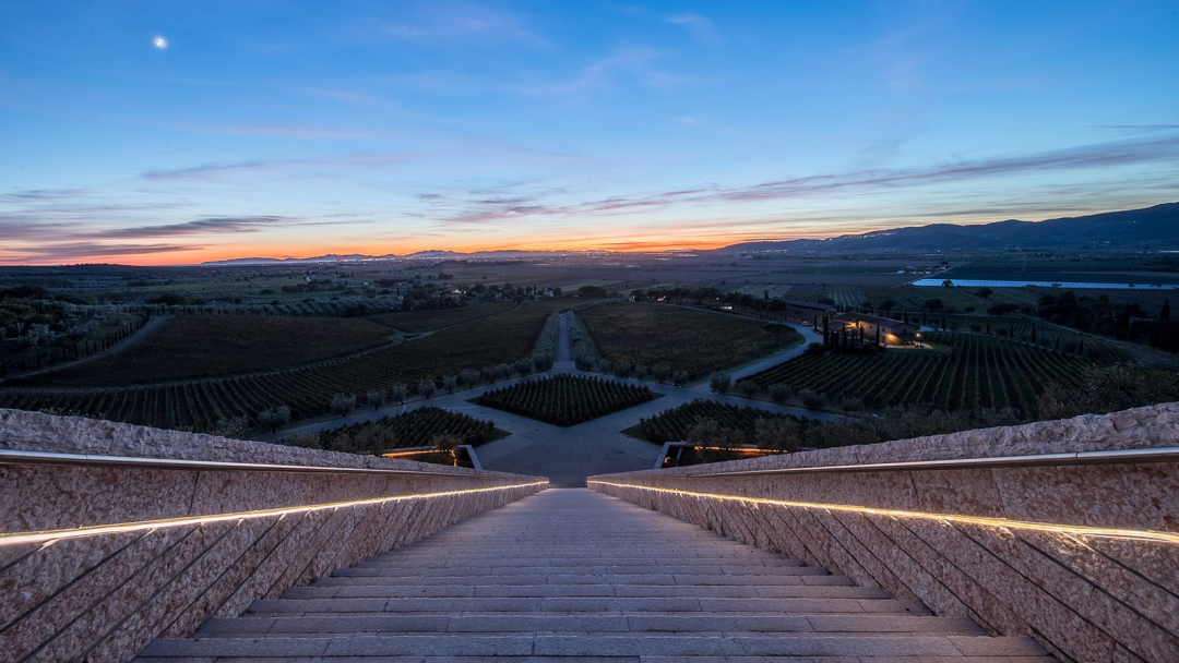 Petra 酒庄丨意大利丨马利奥·博塔-18