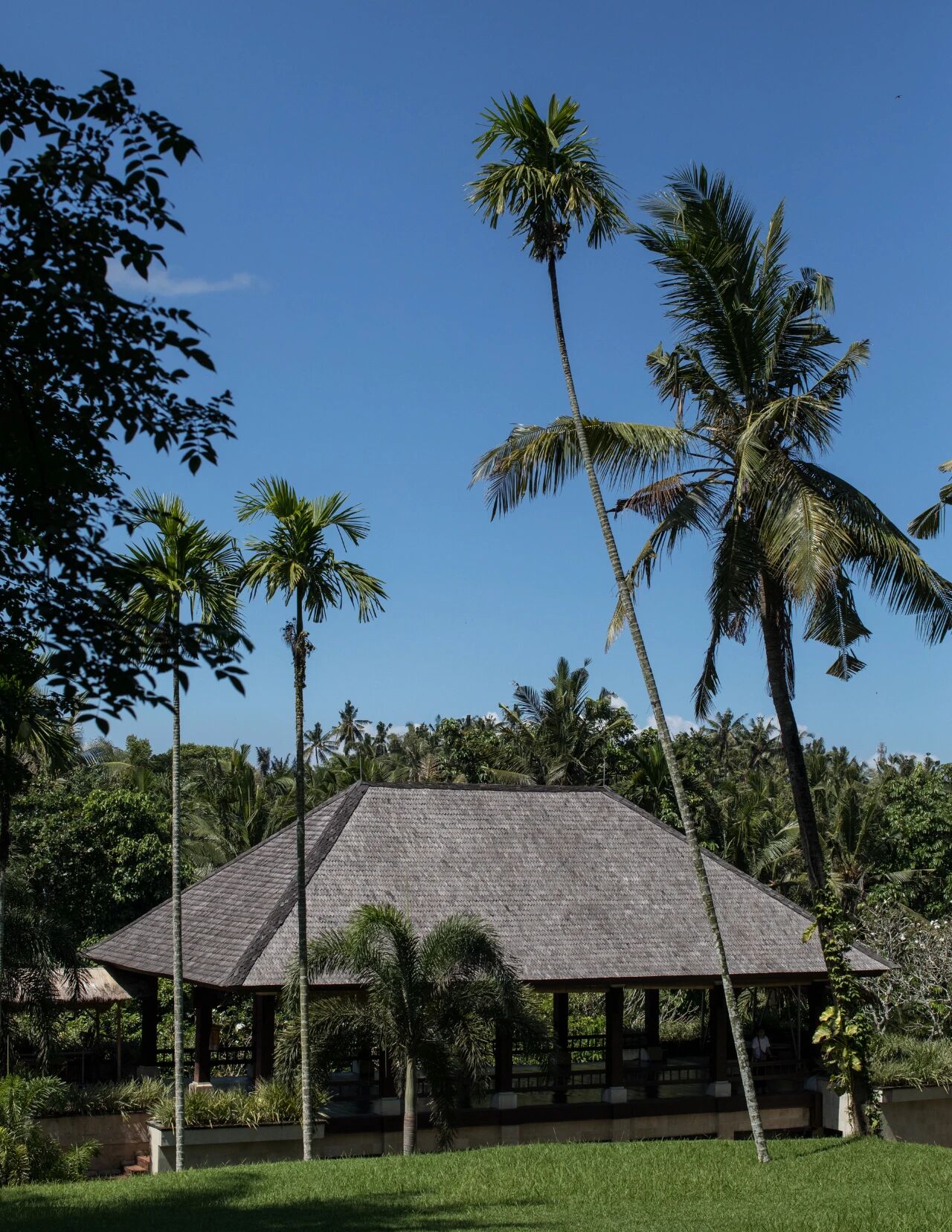 Yayasan Bali Purnati私密居所项目丨印度丨秘鲁RF Studio-21