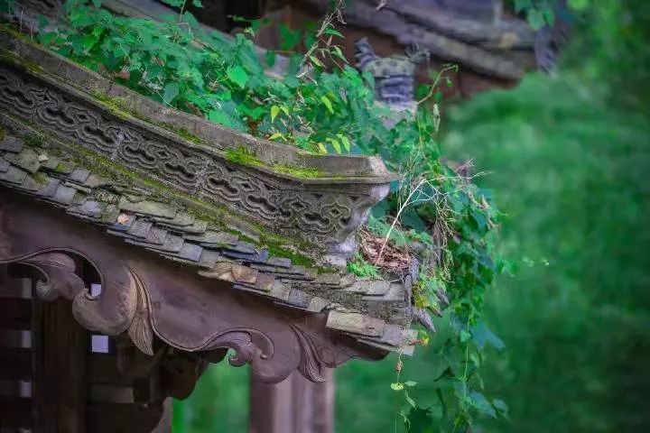 山居艺术 | 云间桃树,泉鸣林深-21