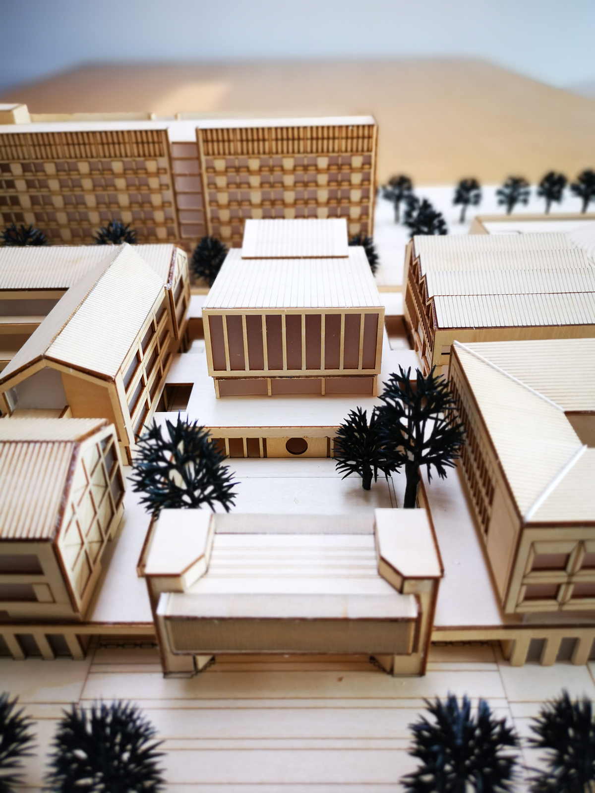 北大新世纪章丘实验学校丨中国济南丨象外营造工作室-86