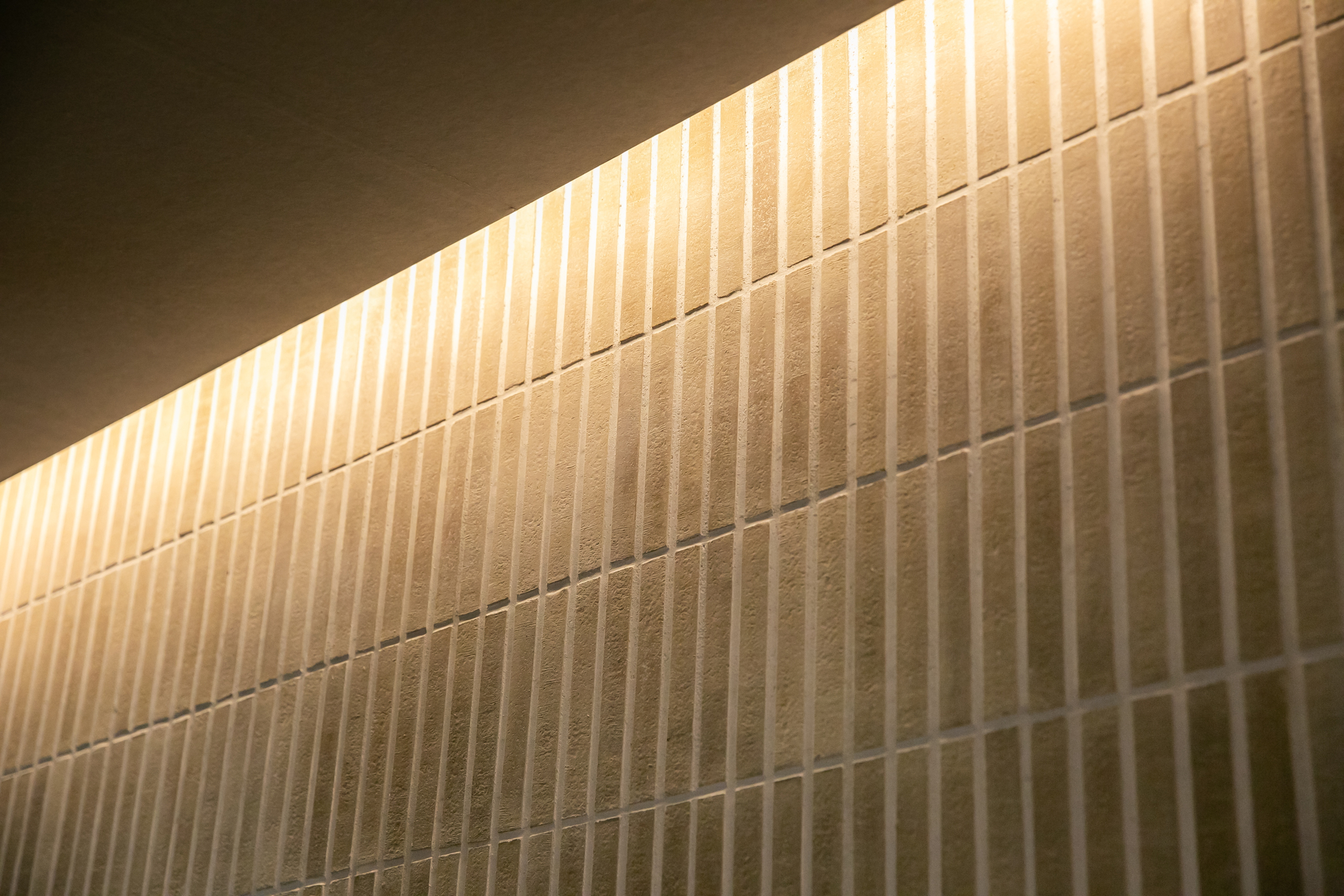 冲绳宫古岛河畔牧木之宿丨日本大阪丨Coil Kazuteru Matumura Architects-32