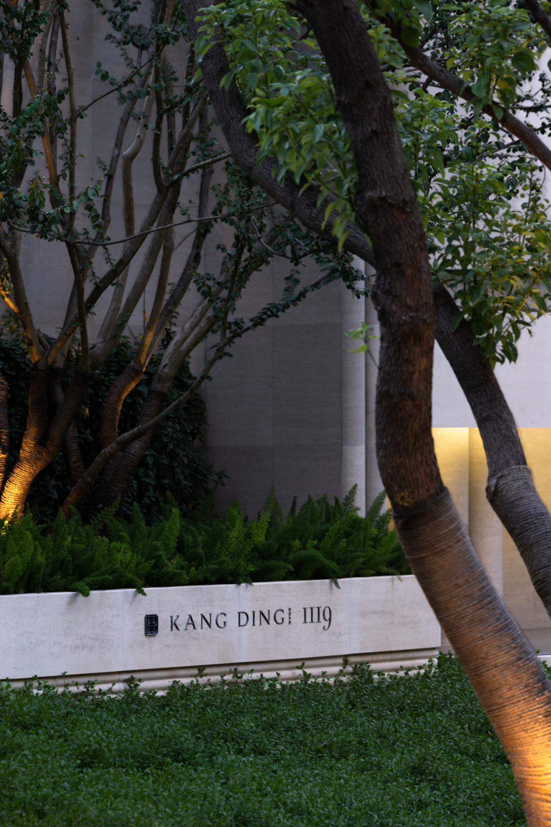 招商·康定壹拾玖|老静安印记梧桐下永恒-29