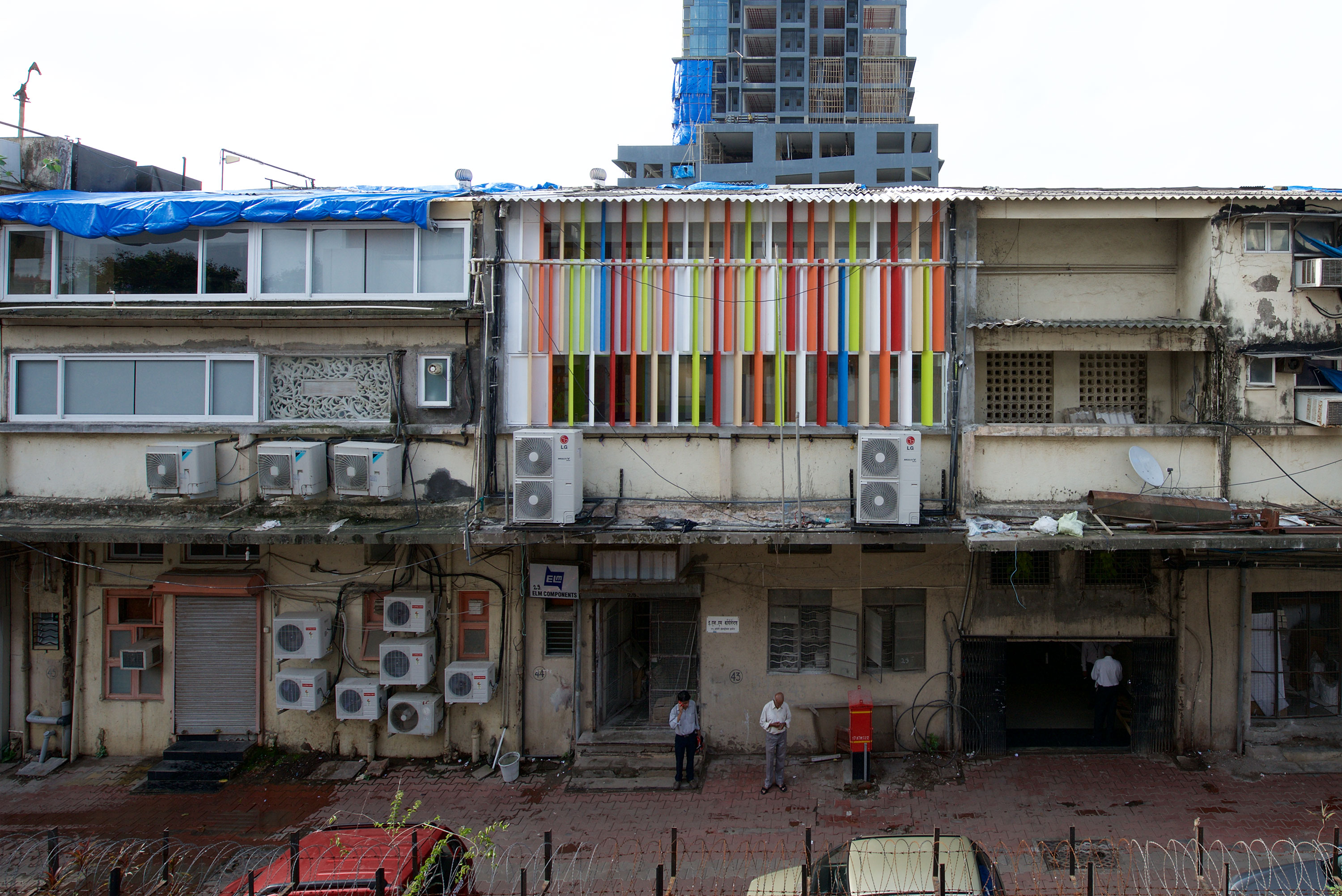 蜂蜜蜜蜂语言俱乐部-15