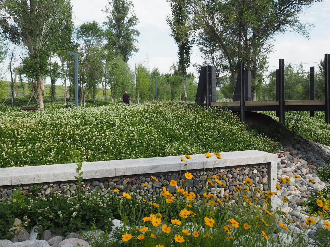 新疆博乐人民公园改造设计（A地块）丨中国新疆丨R  land北京源树景观规划设计事所-93