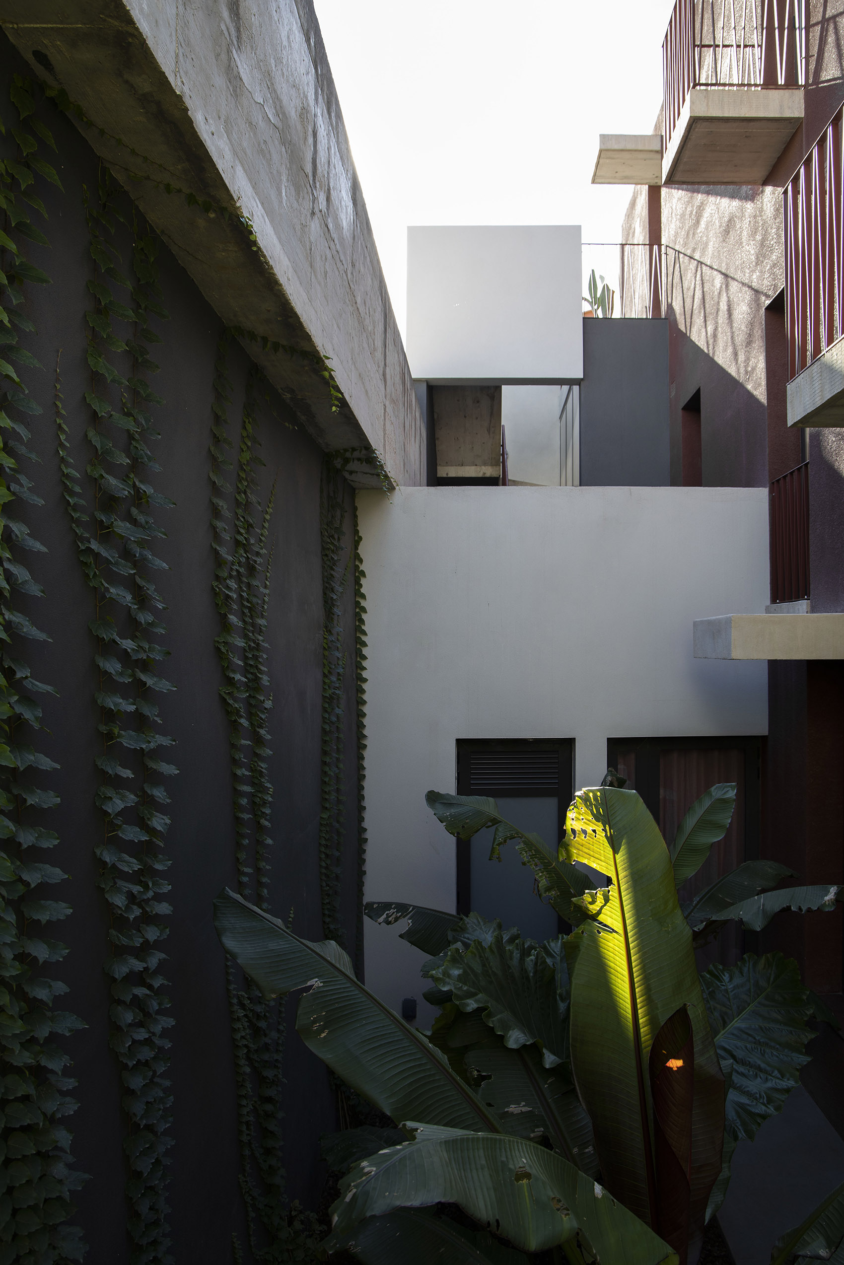 Saudade 别墅丨Chris Briffa Architects-7