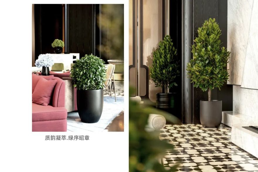 闽韵鹭岛・云端植境|厦门厦航费尔蒙酒店精品花园营造-60