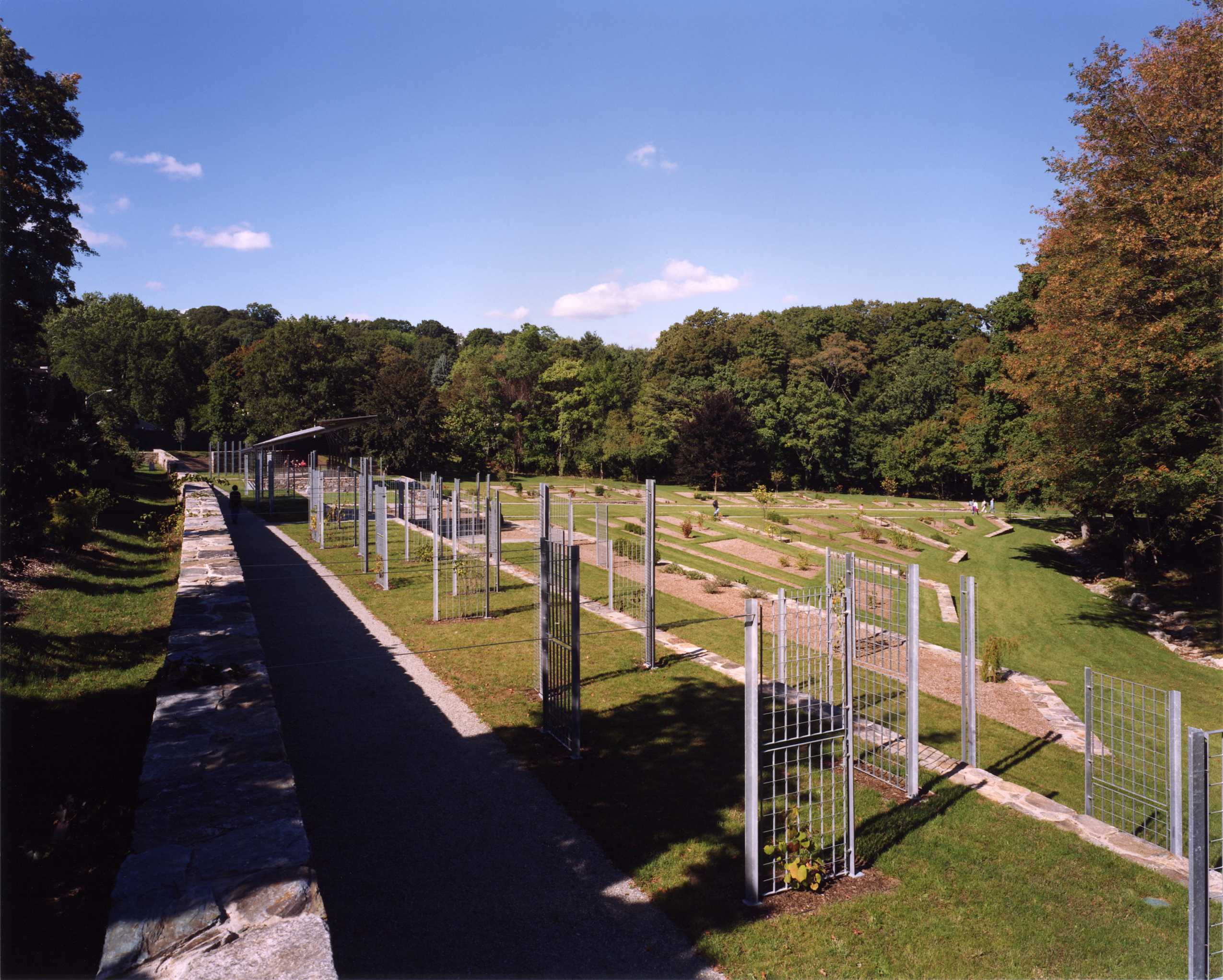 哈佛阿诺德树木园简约展馆-6