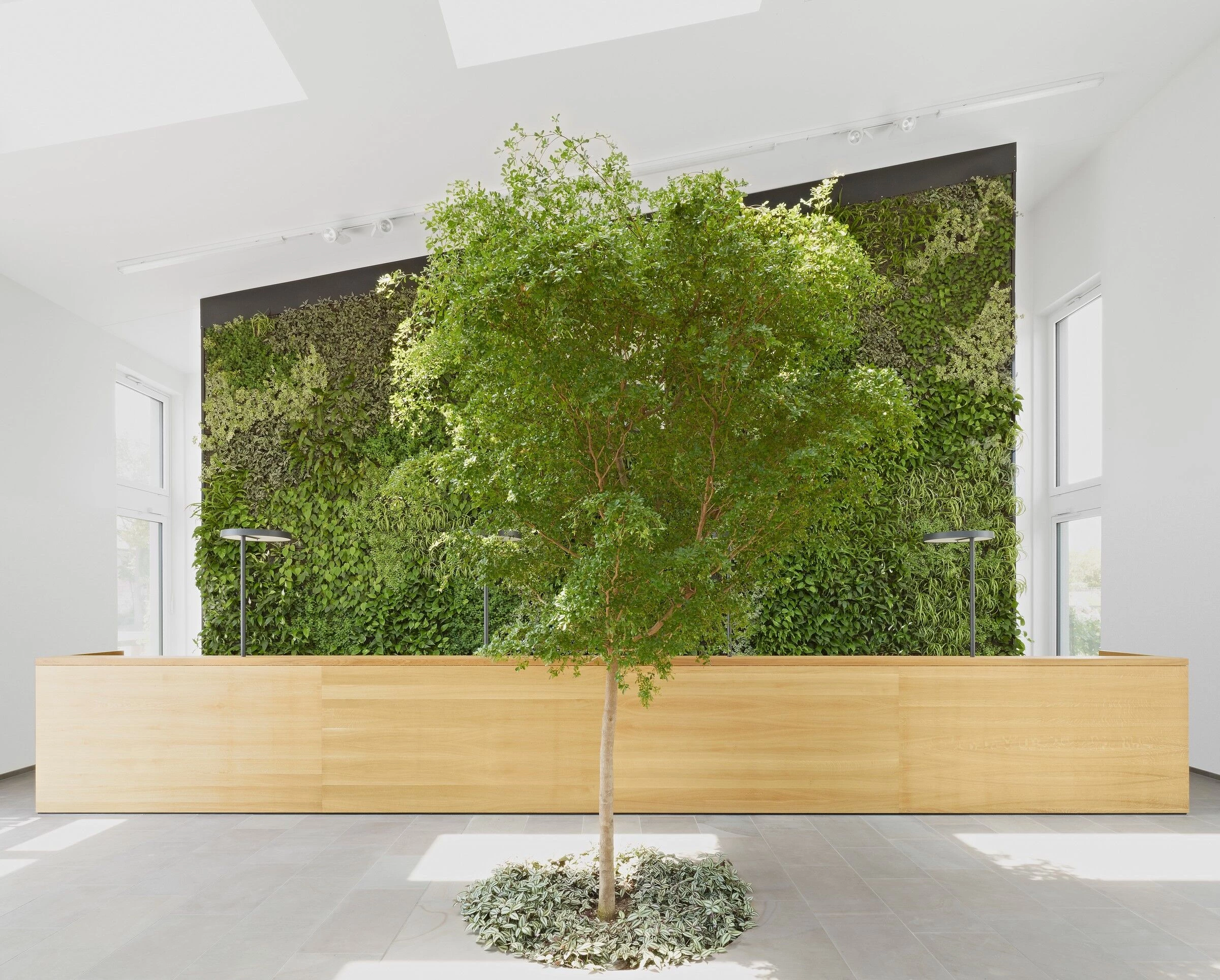 德国 Wiesbaden 新型绿色办公建筑设计-5