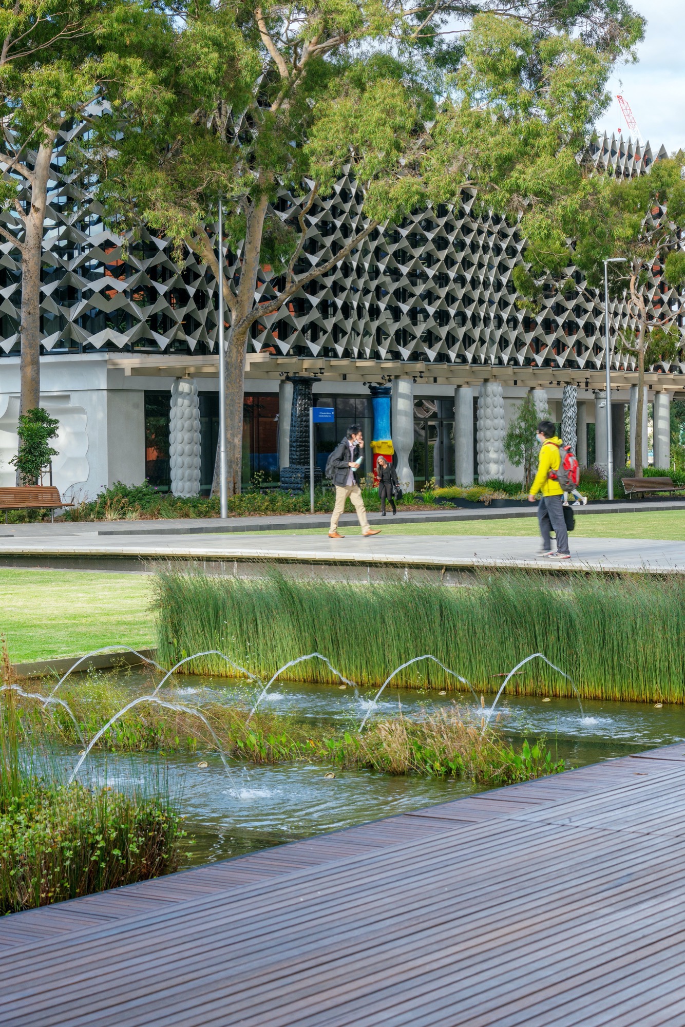 Monash 大学论坛景观设计丨澳大利亚丨TCL+Peter Elliot Architecture-9