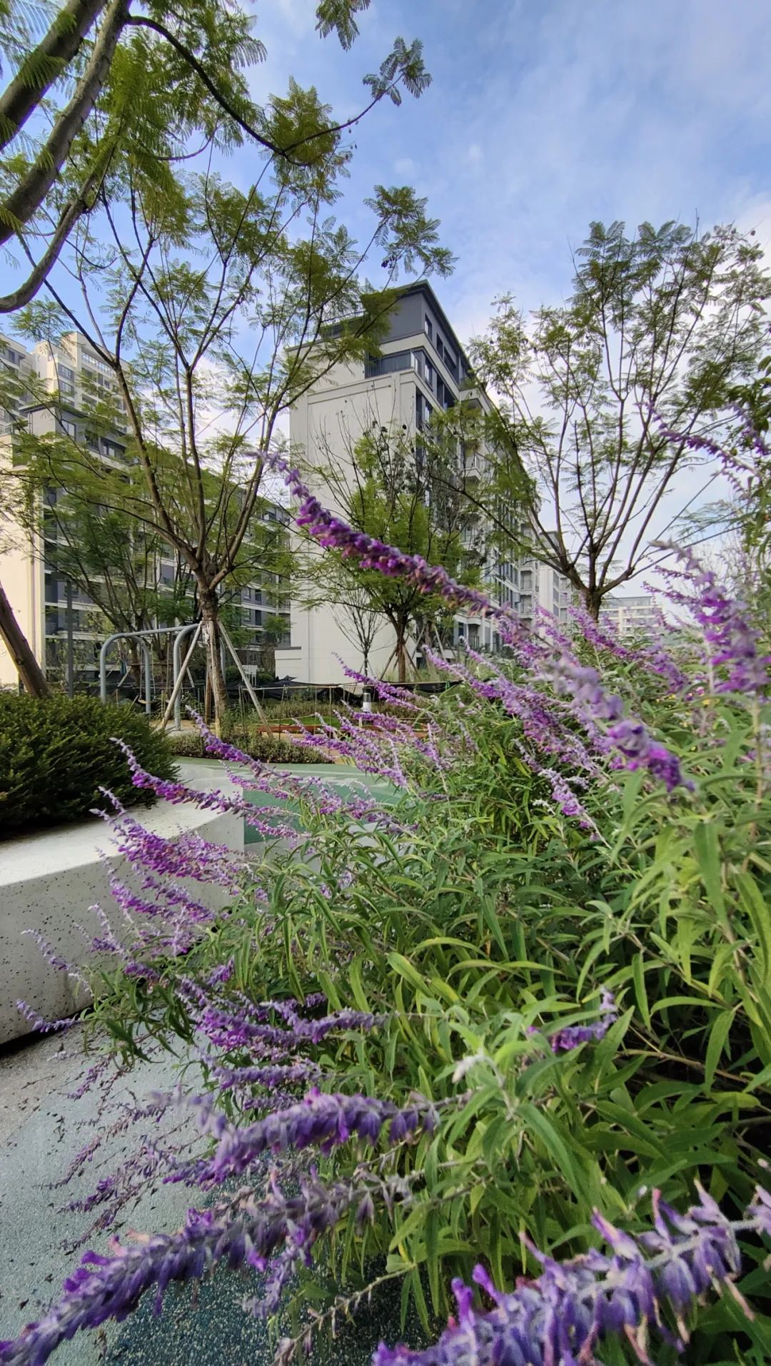 归心交付｜晓风澜庭一期交付，打开滨江都会生活之门-86