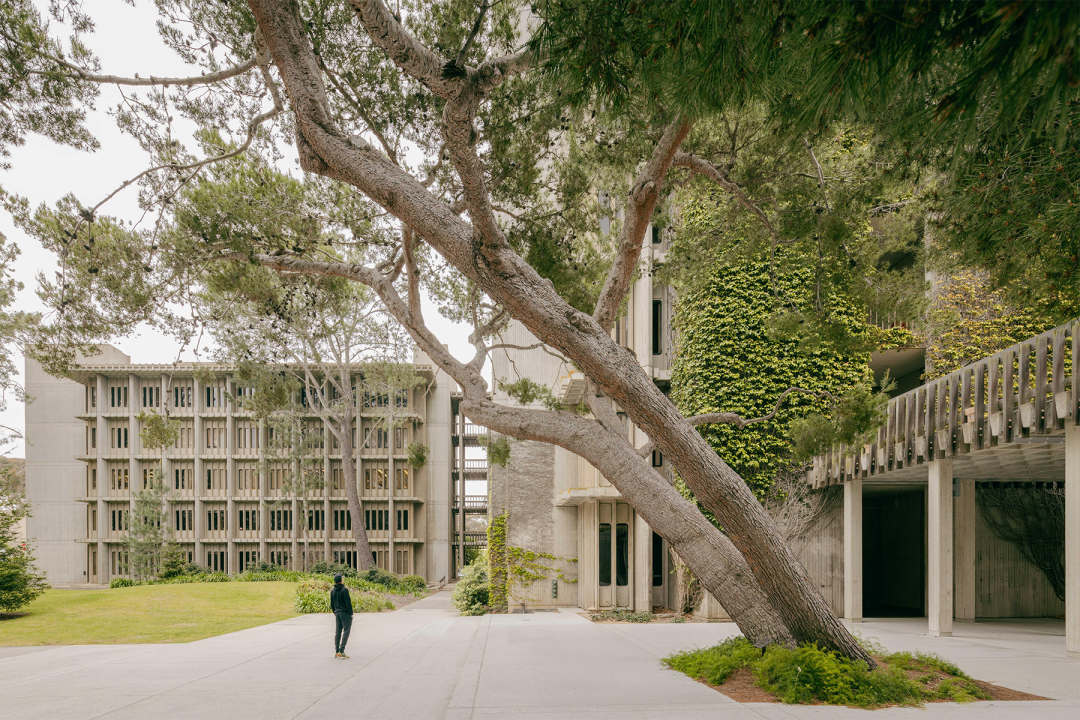 皇家国家剧院丨英国伦敦丨Denys Lasdun-85