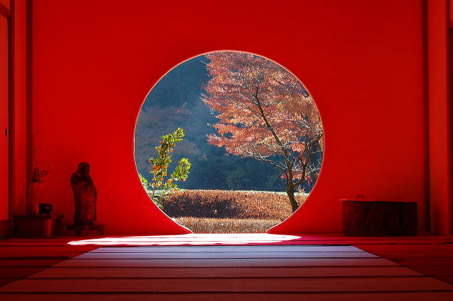 明月院庭园等景观丨日本神奈川-23