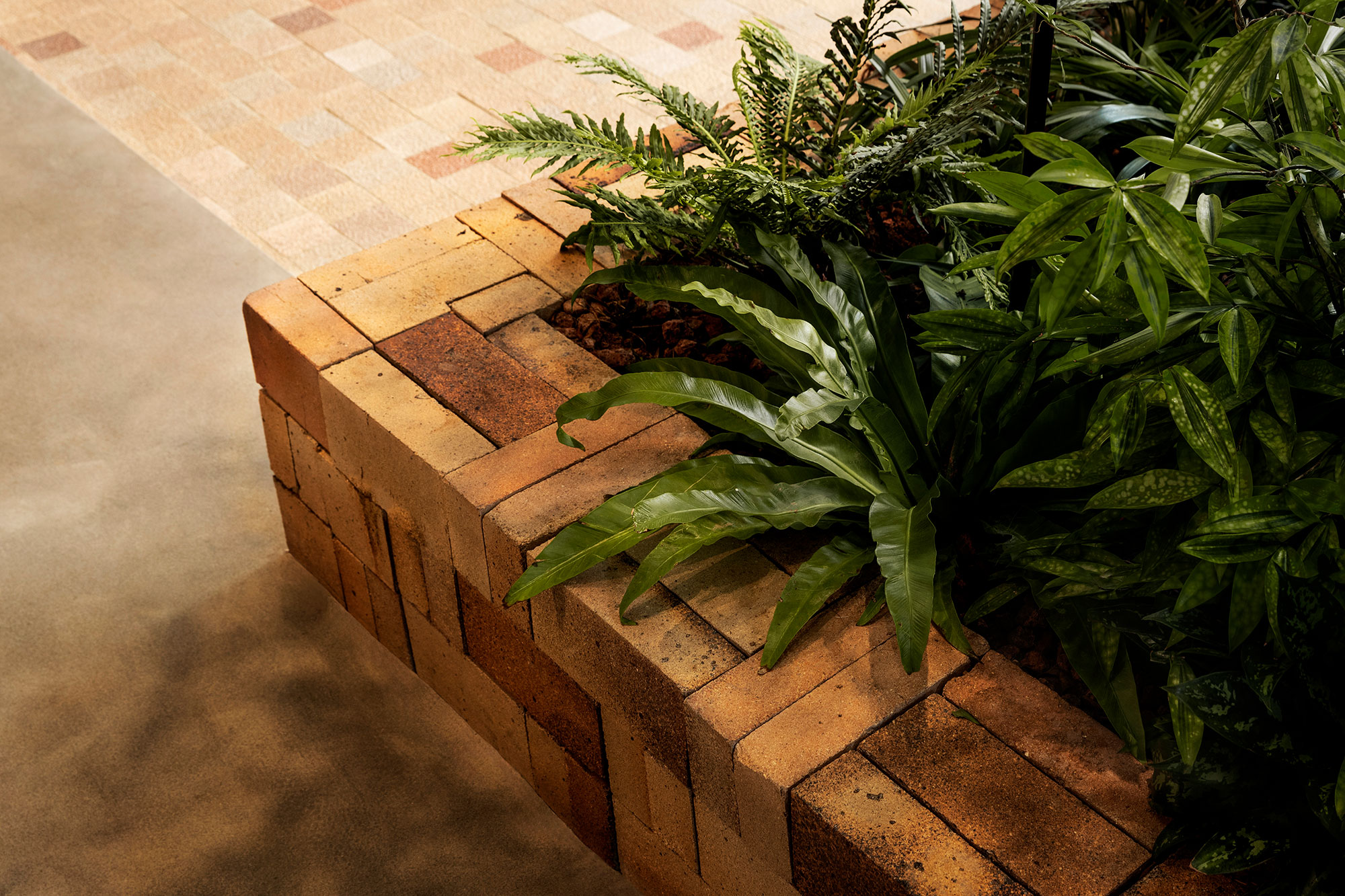 咖啡店丨中国深圳丨Pure & Wild Studio朴野设计-15