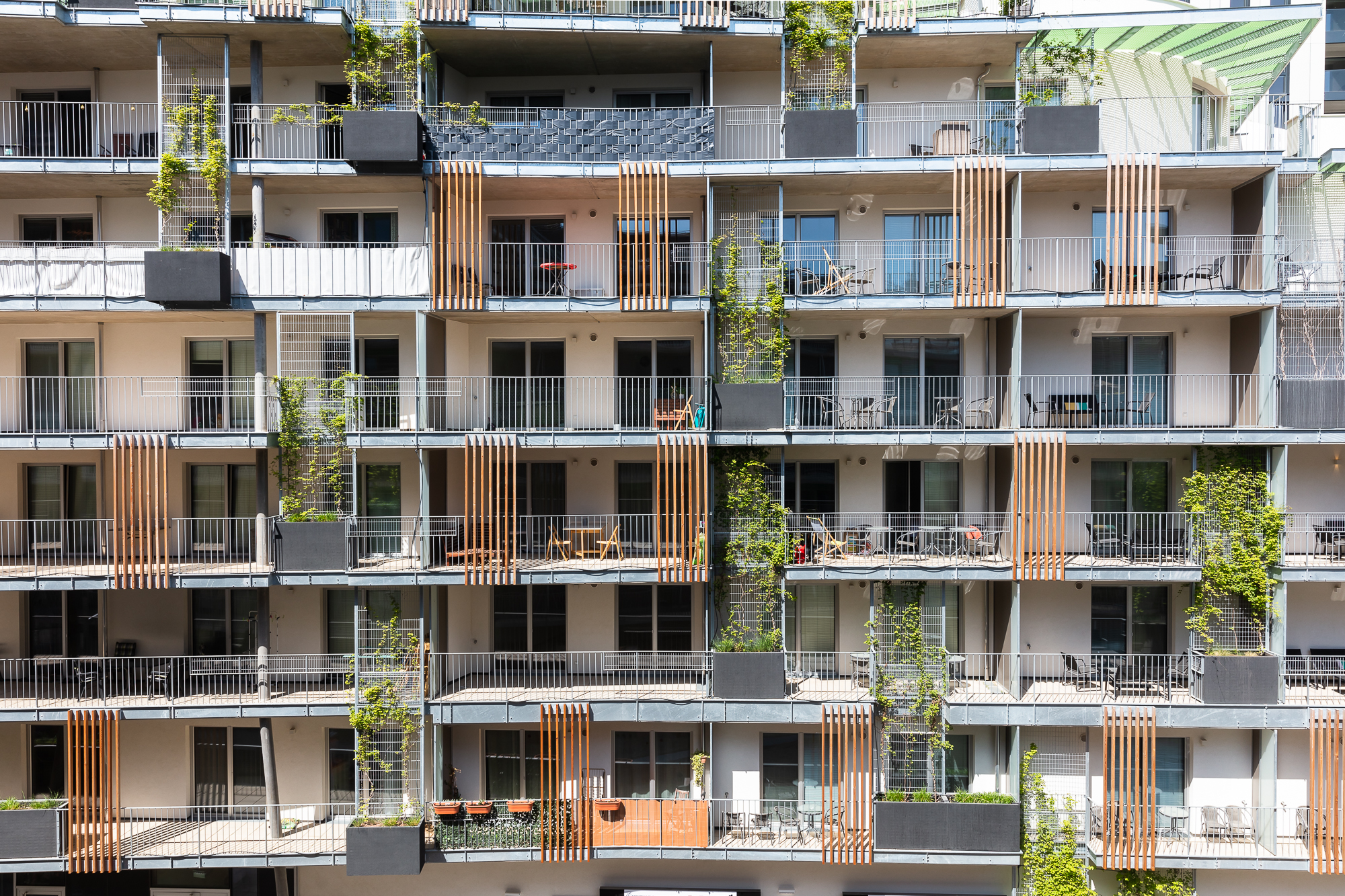 生活花园丨INNOBA-7