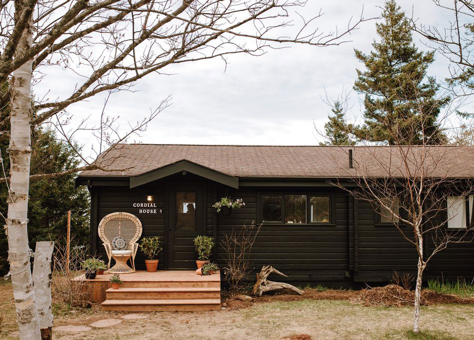 温哥华湖畔的小木屋冬日奇迹-12