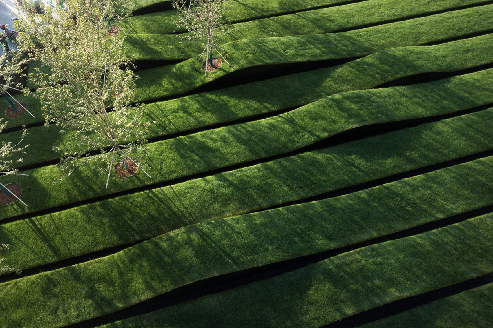 艾美酒店景观设计丨中国郑州丨Shma-11