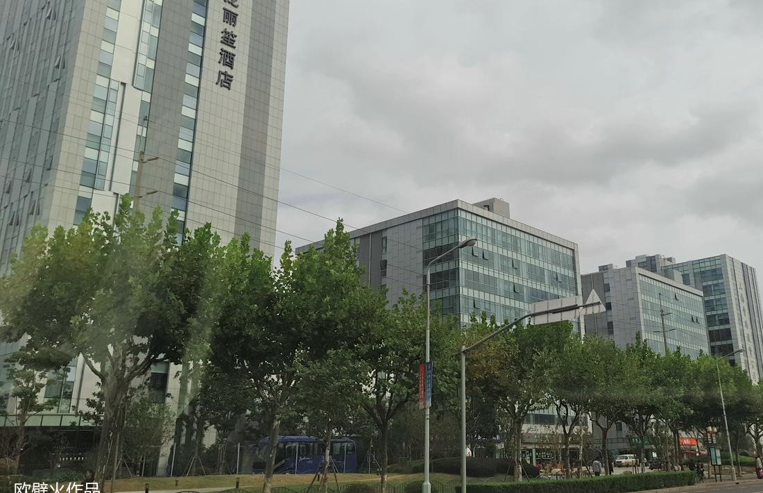 篝火仿真假火焰-2