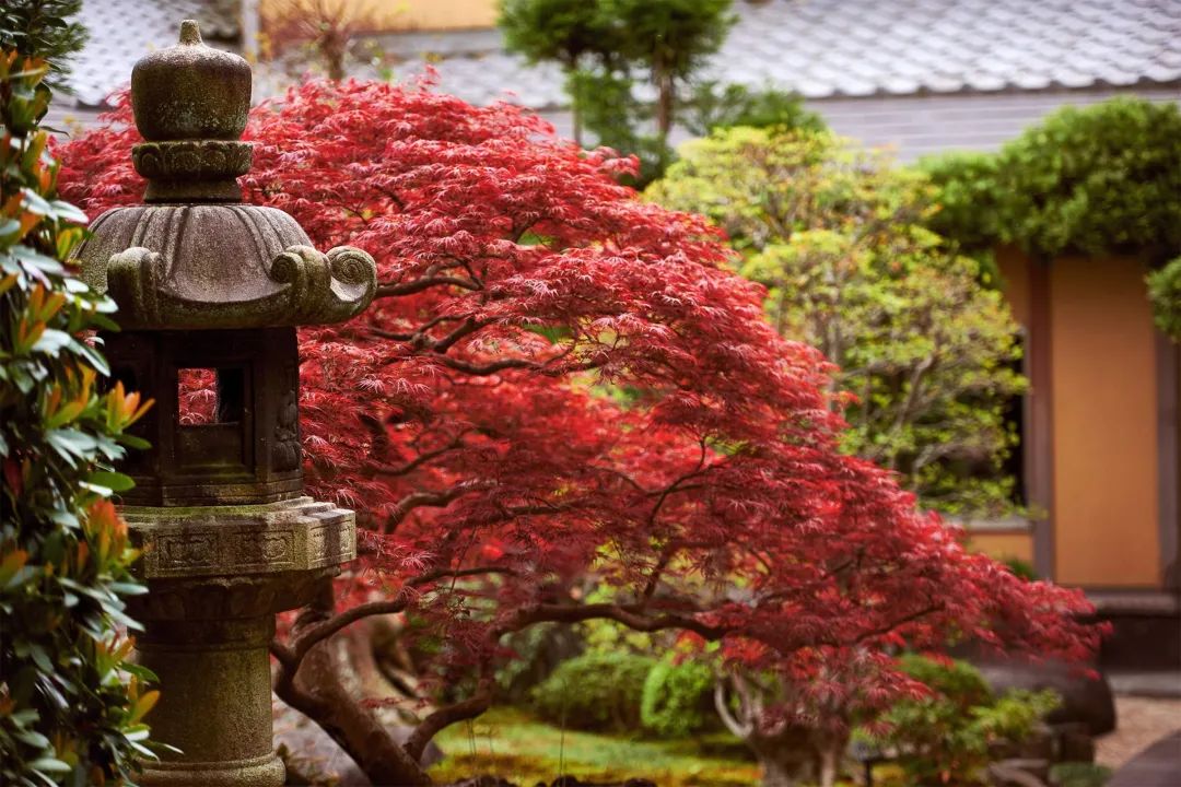 Atami 别墅丨日本静冈丨André Fu-10