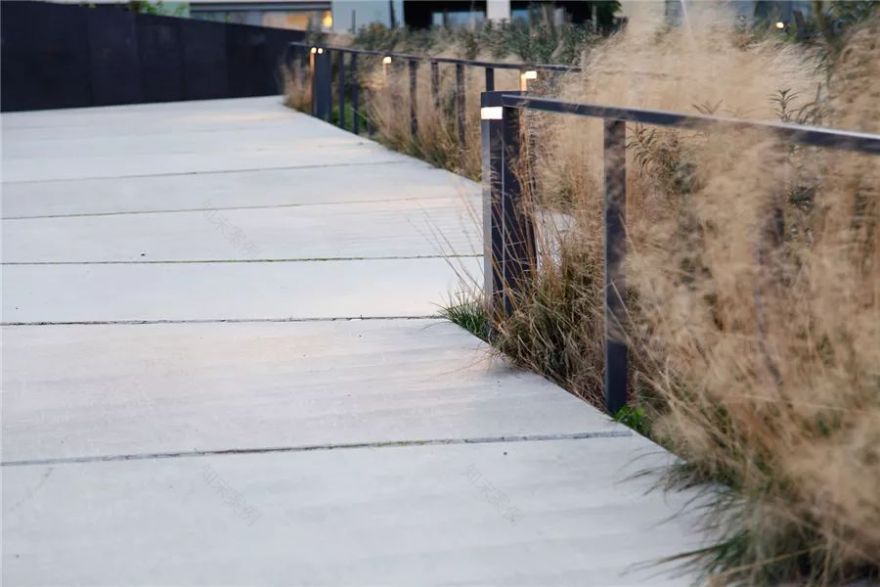 边界植物在景观设计中的妙用-55