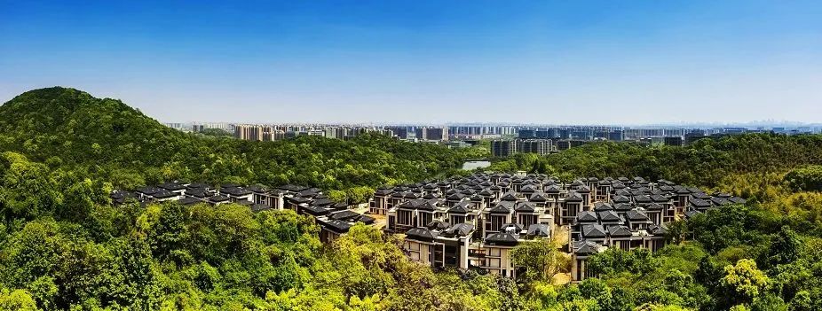 杭州半山林畔晓云山居极简禅意豪宅设计丨中国杭州-5