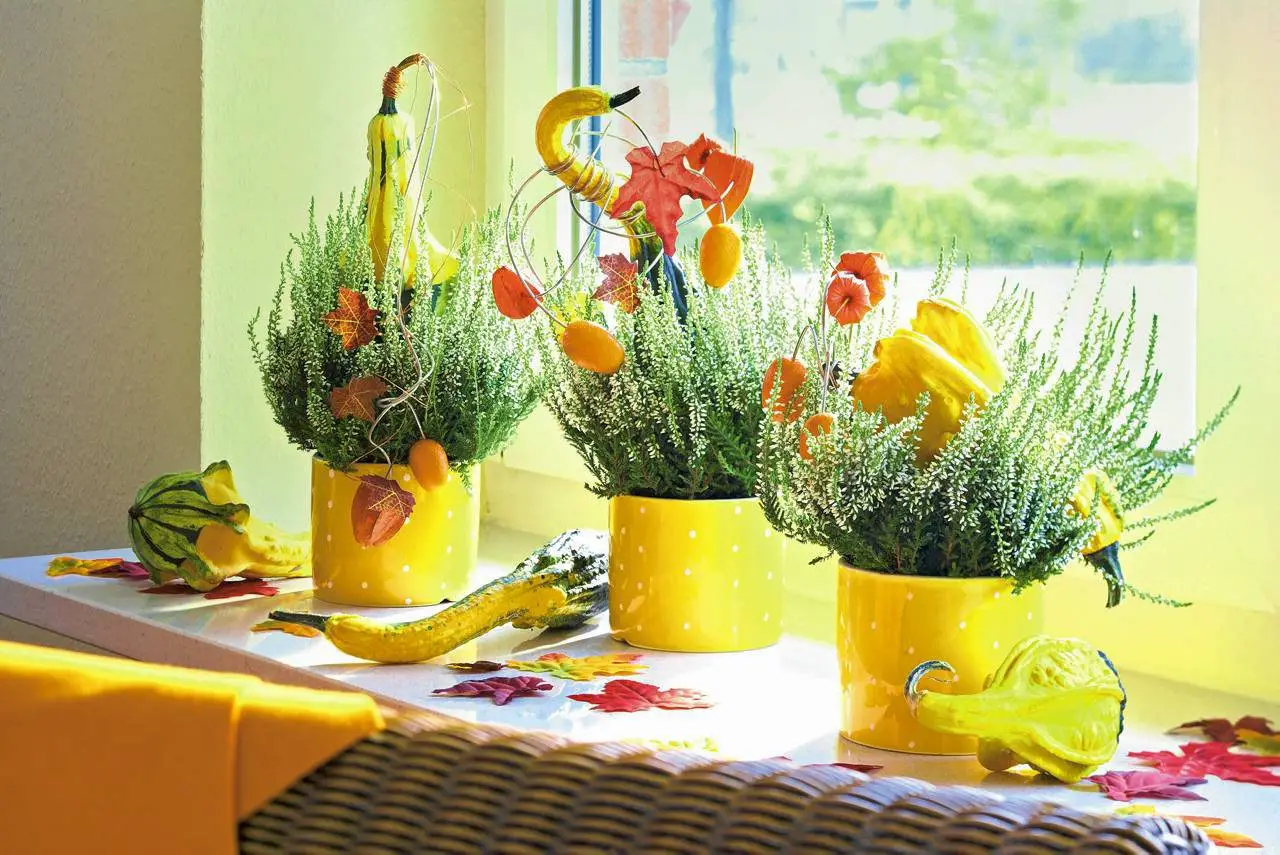 四季之窗 | 打造随季节变化的窗台装饰-8