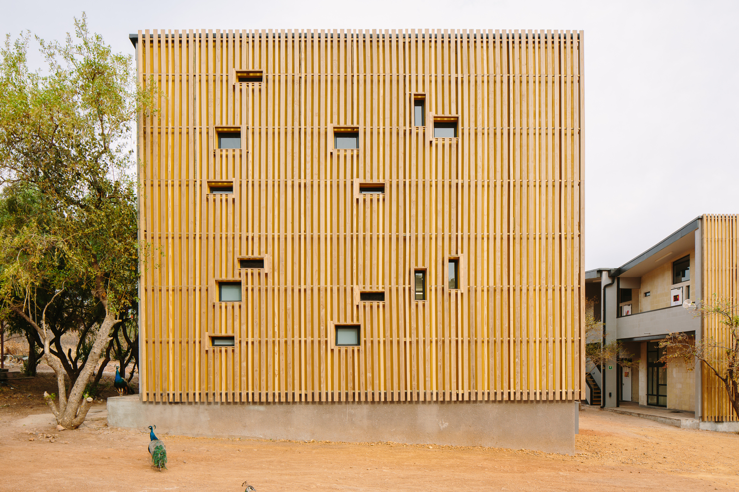 南非 Limpopo 青年旅舍-45