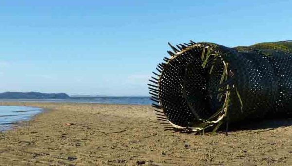 无人岛棕榈管冥想空间丨巴西丨X Studio(设计师:伊万·华雷斯)-1