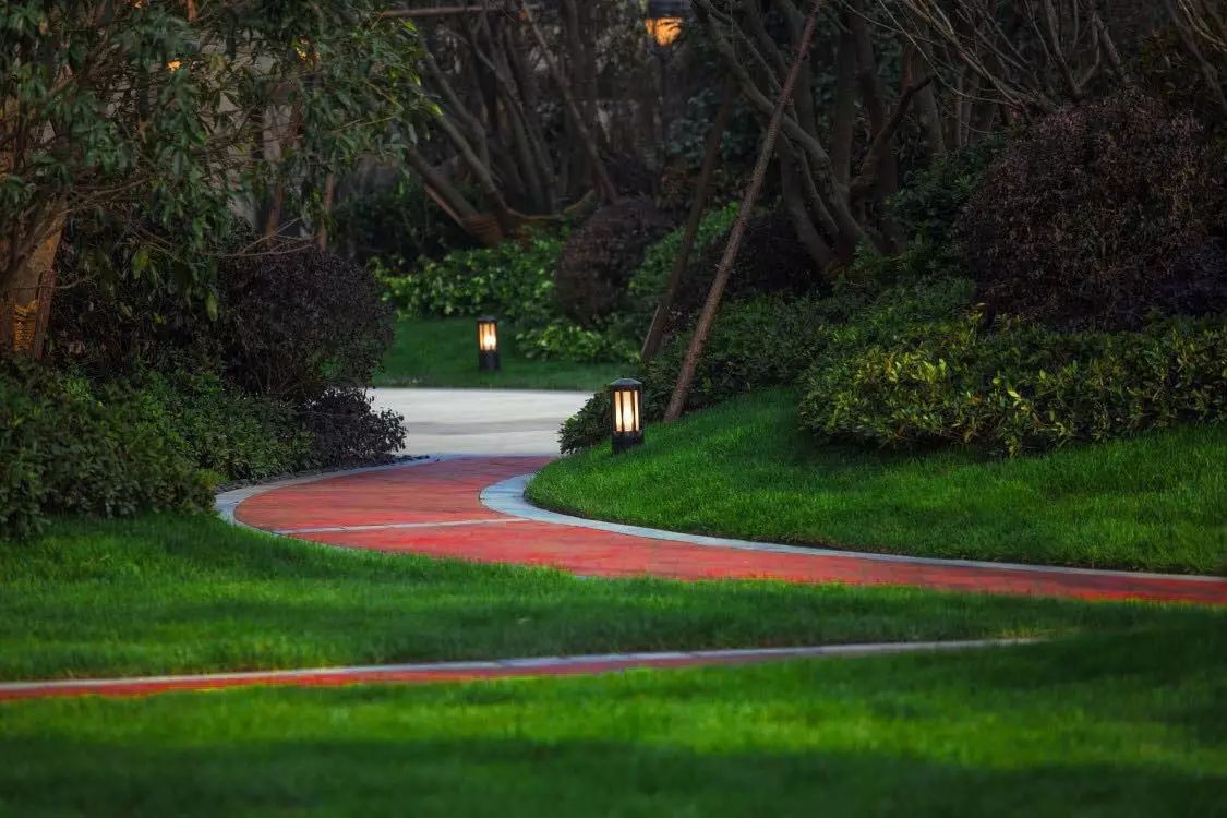 奔跑在春天的跑道里，向阳光未来出发-3