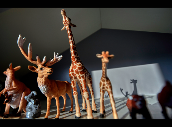 万洋华府·现代简约风丨叶美梅-61