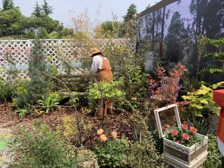 2019 西湖花园节创意花园设计亮点解读-45