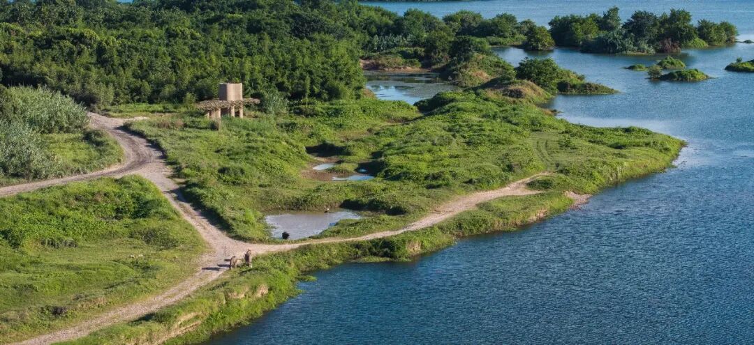 湿地洞窟配套驿站丨中国衢州丨Studio 10-2