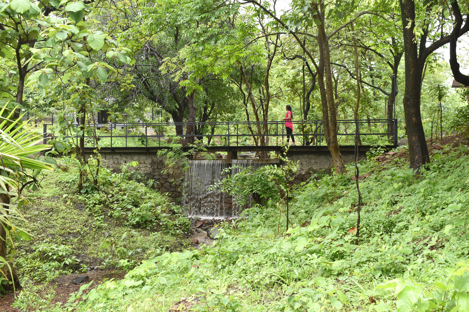 印度 Karjat 市 The Bridge Dam丨architecture INNATE-8