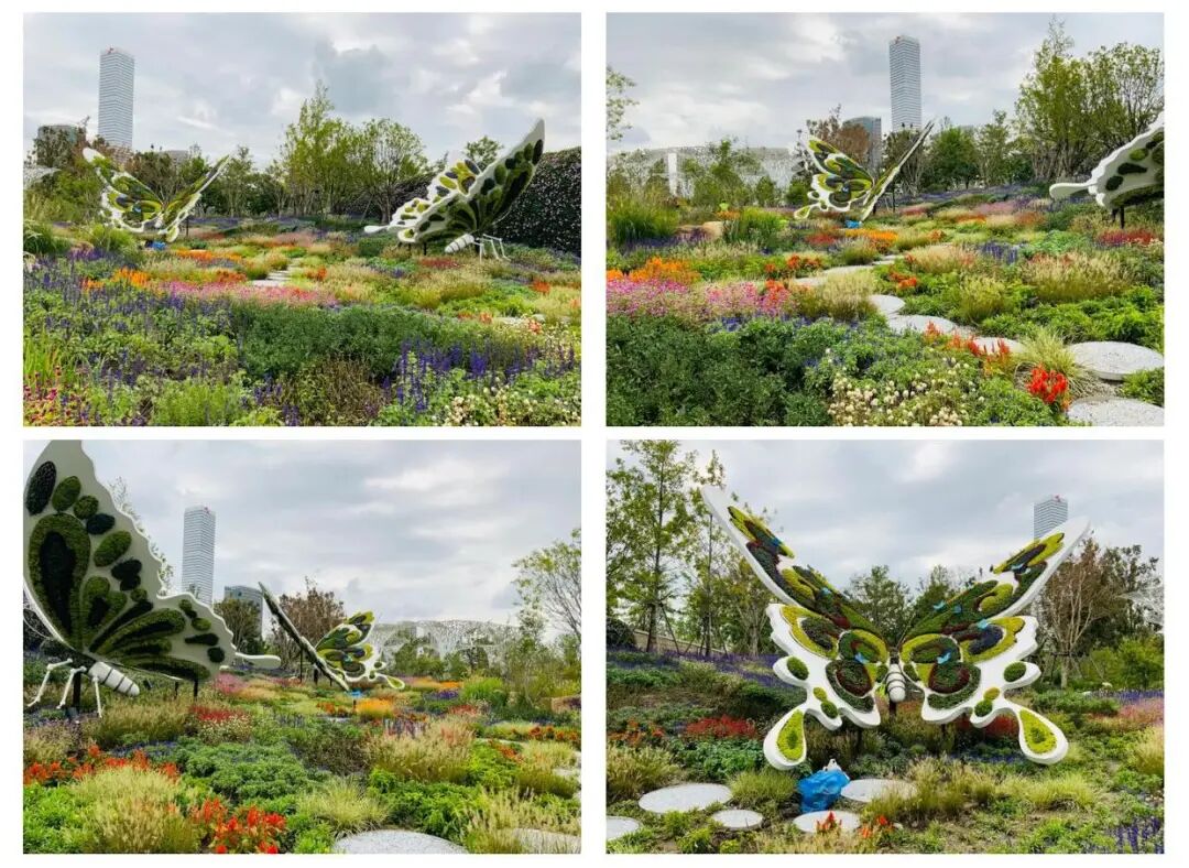 品鉴︱都市中的生态诗篇——上海世博文化公园的科技赋能实践-19