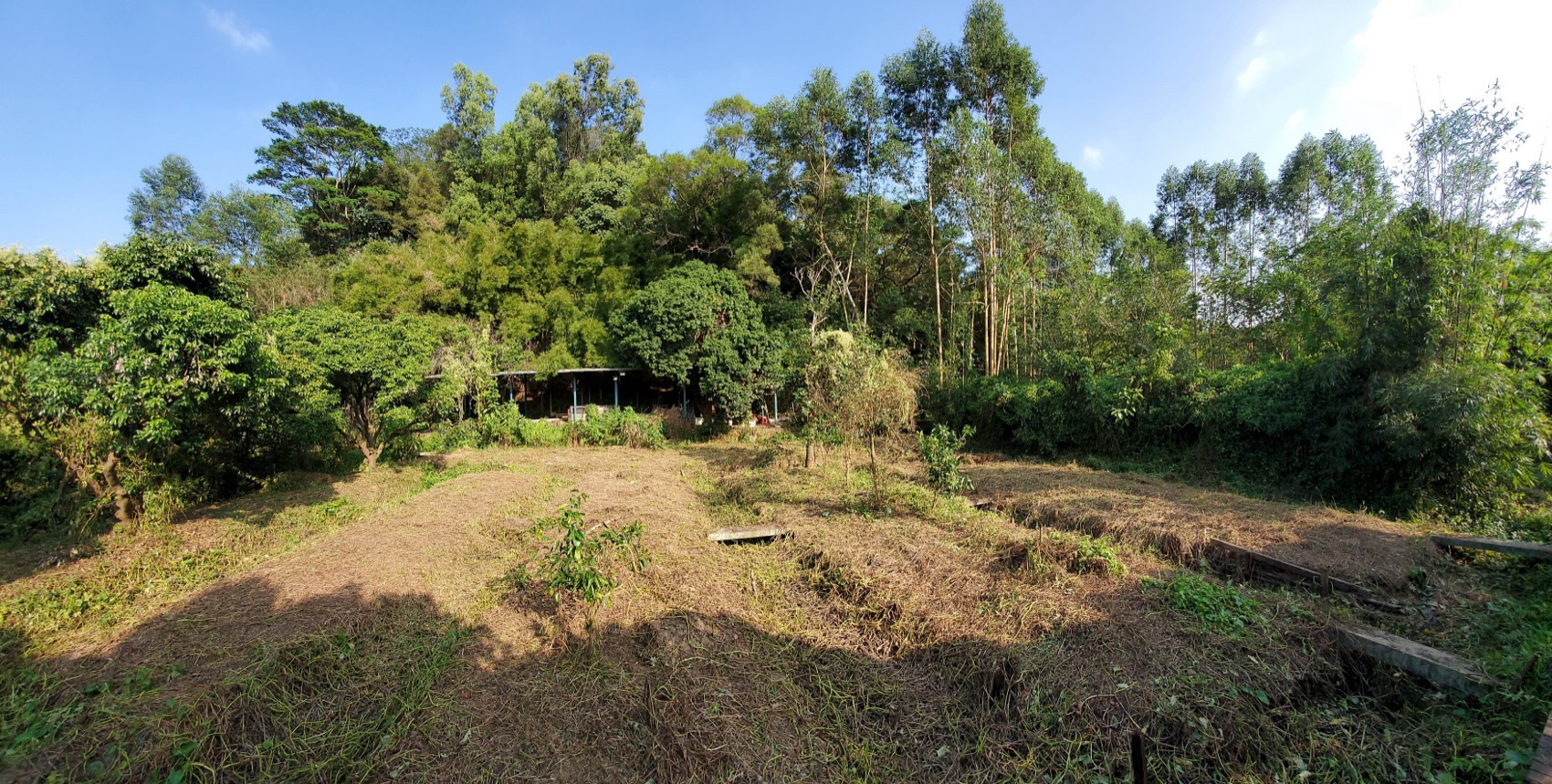 长洲岛花园客房丨中国广州丨广州图岸建筑设计有限公司-6