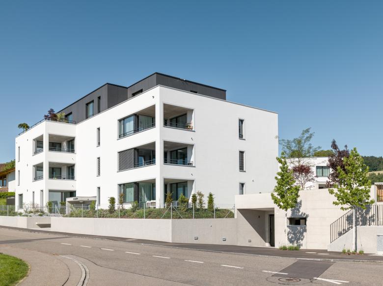 Florian Voemel Architekten AG丨Juchweg丨瑞士-1