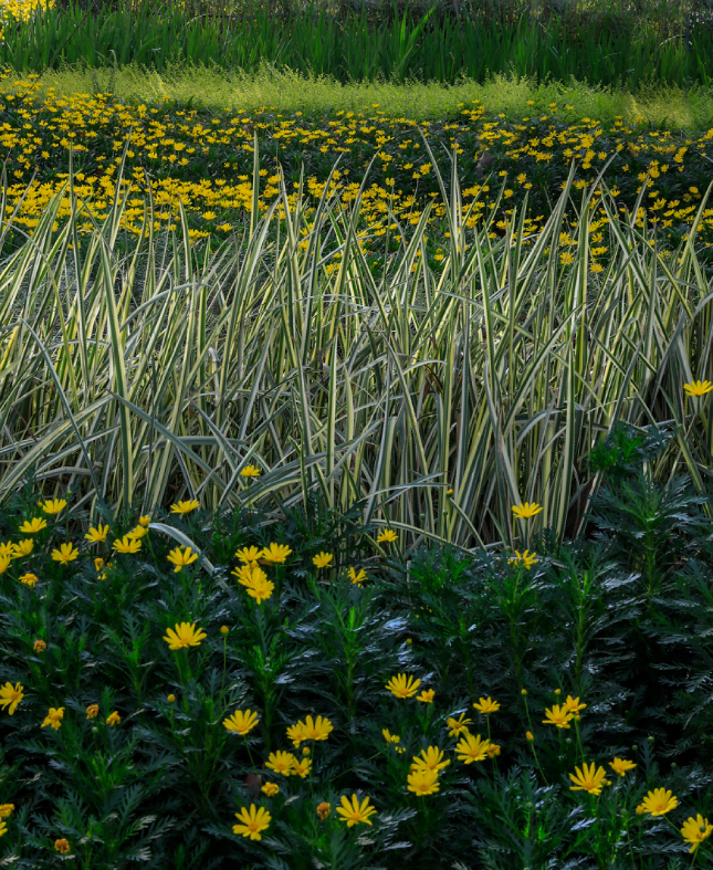 绿色生态虹桥万创中心,打造自然•“家”办公环境-76