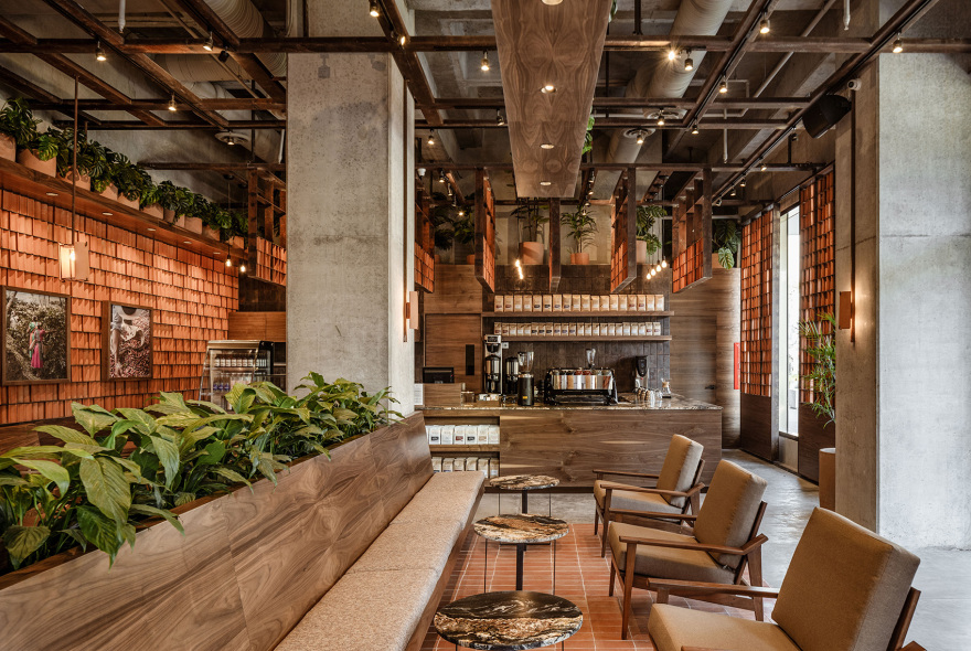 墨西哥 Kali 咖啡馆丨Concéntrico-19