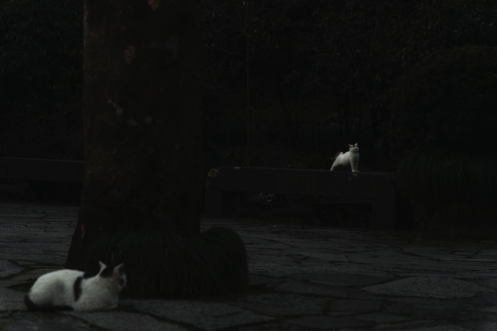 灵隐寺和永福寺丨中国杭州-25