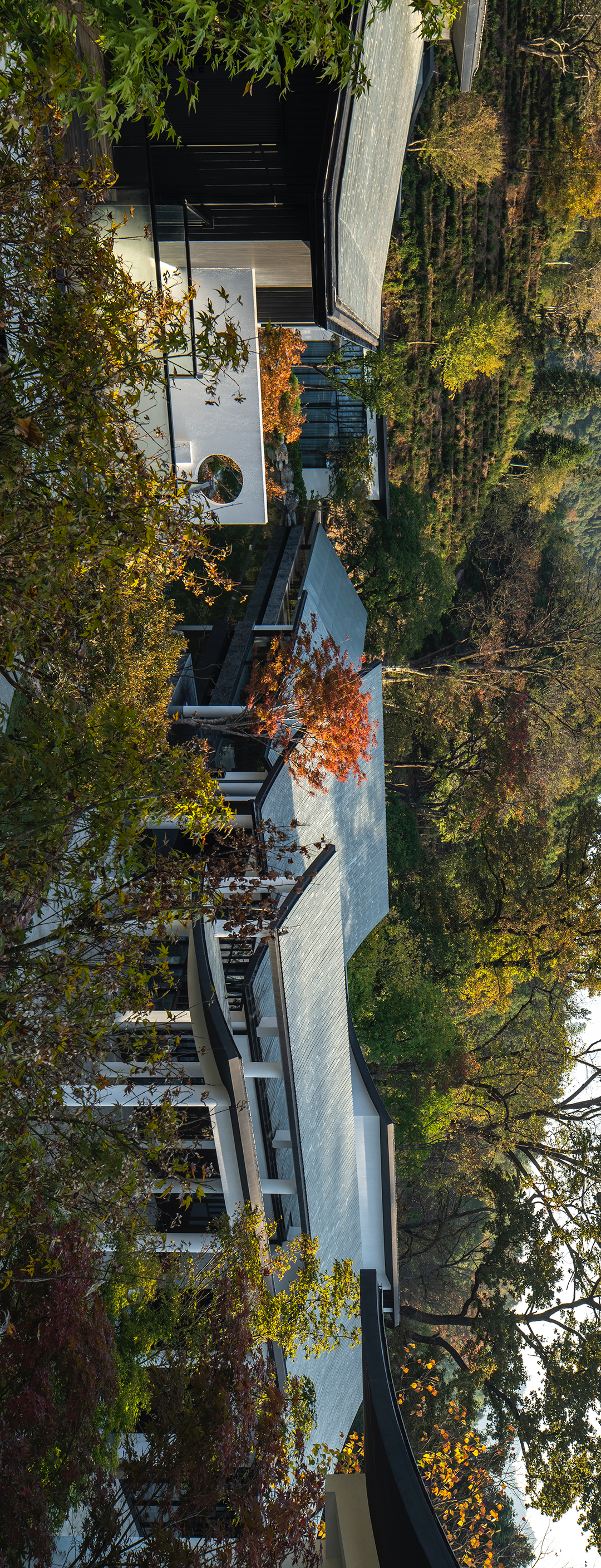 山有桃源,云心出岫 | 张震斌 | 2023 | 中国安徽-11